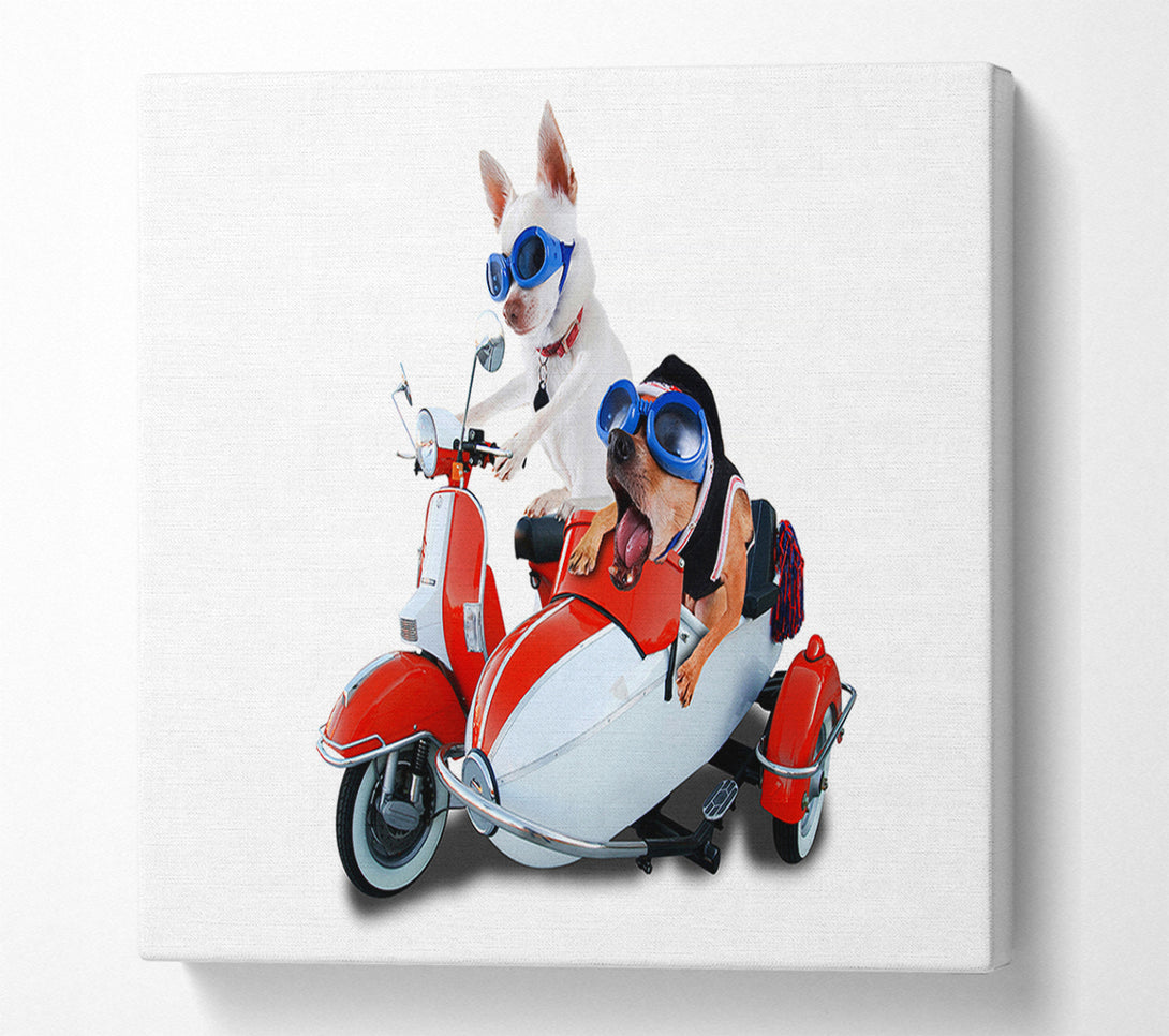  A Canvas Print of Chihuahua Sidecar Mayhem Dogs Canvas Wall Art