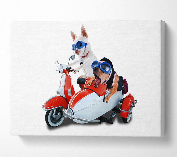  A Canvas Print of Chihuahua Sidecar Mayhem Dogs Canvas Wall Art