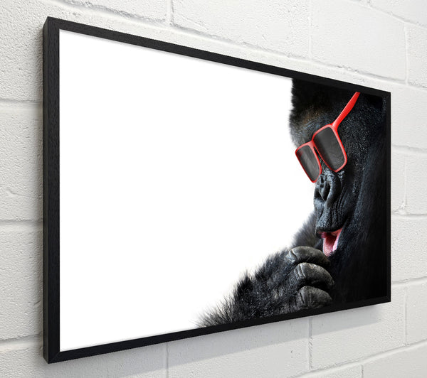 Gorilla Cool