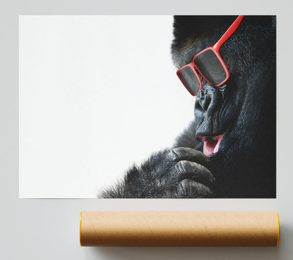 Gorilla Cool Print