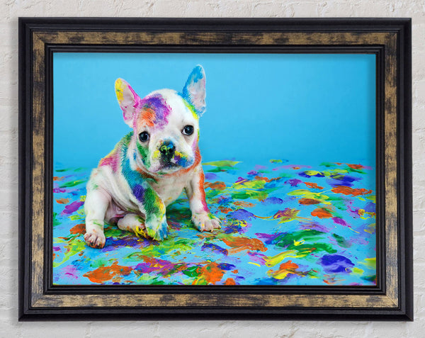 French Bulldog Paint Party Framed Print