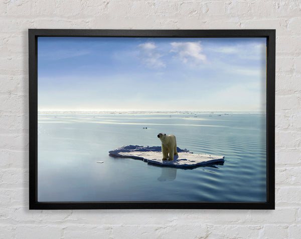 Floating Polar Bear Framed Print