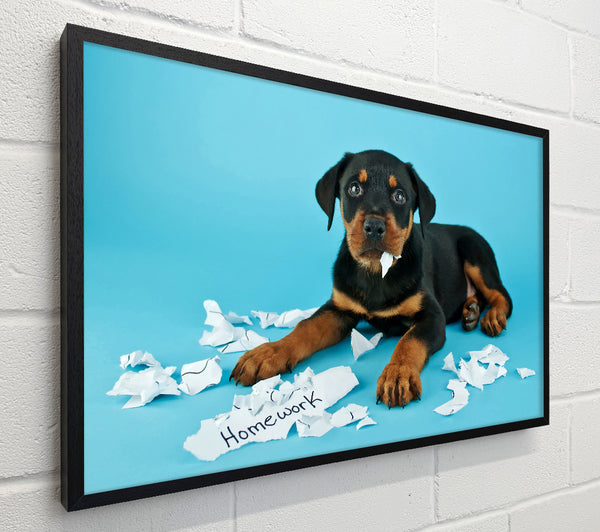 Naughty Rottweiler Puppy Dog