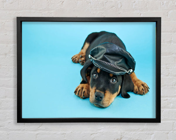 Rottweiler Puppy Dog Hat Framed Print