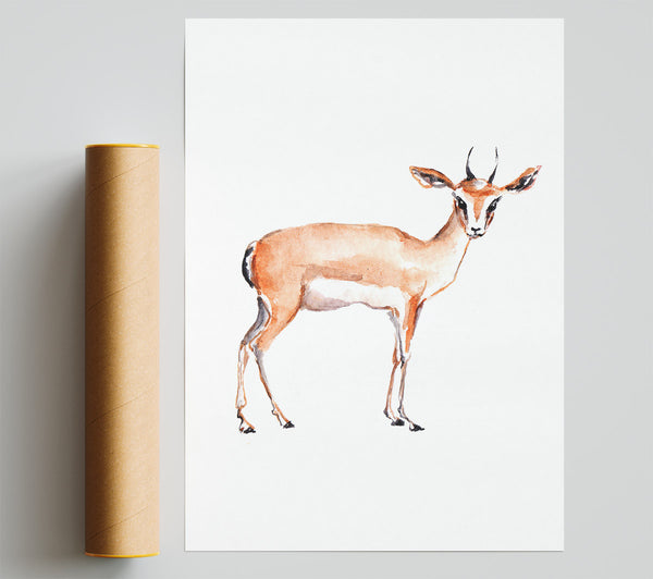 Springbok Poster