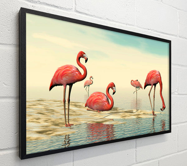 Pink Flamingo Batheing