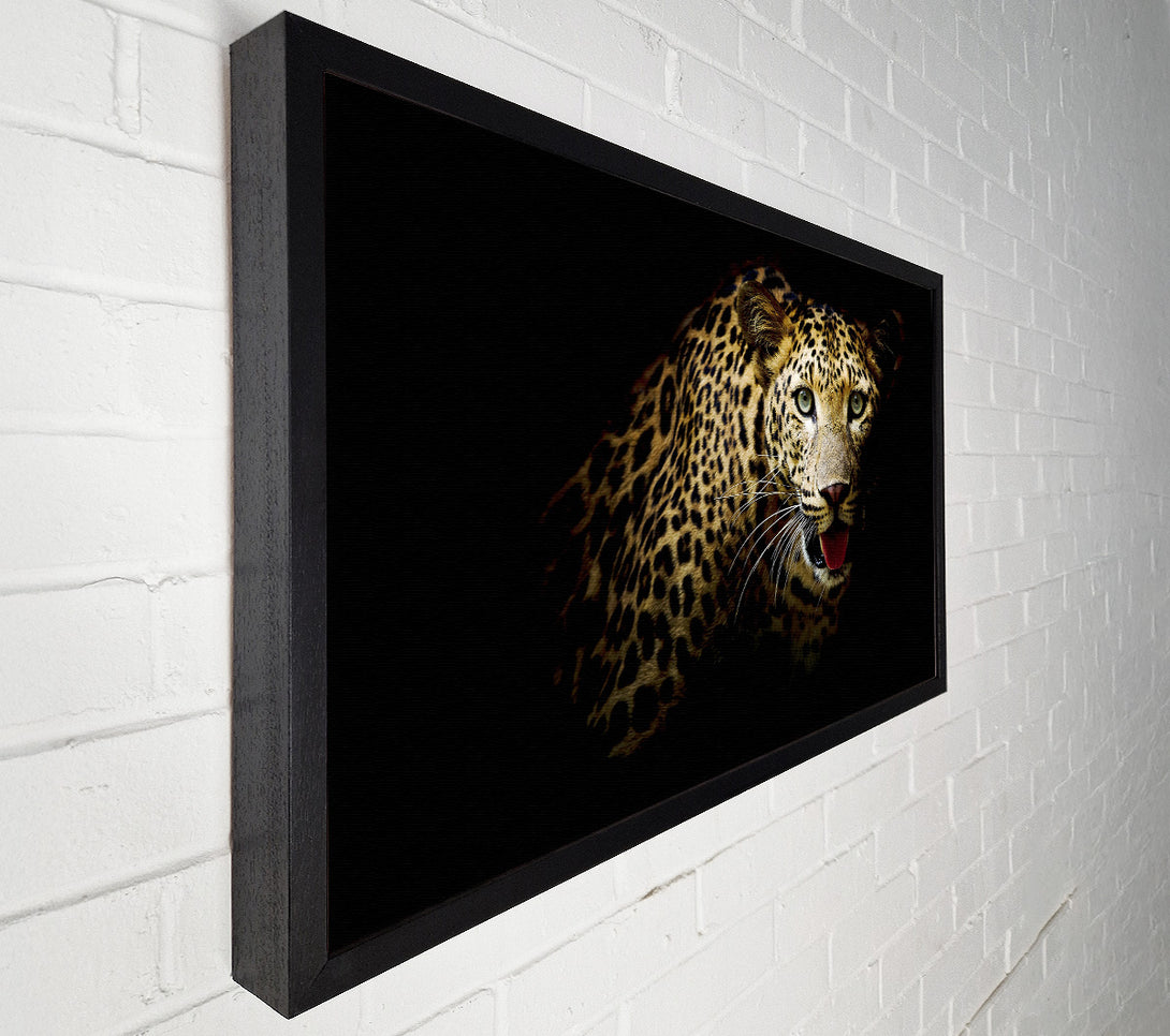  A Canvas Print of Curious Leopard Canvas Art
