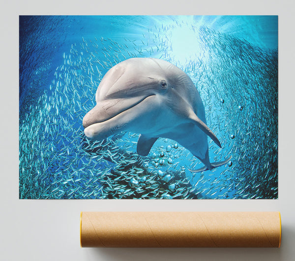 Dolphin Dinner Time Giclee Print