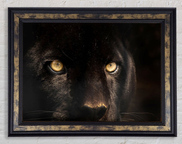 Black Panther Face Framed Print