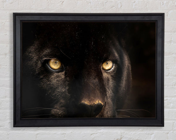 Schwarzes Panthergesicht