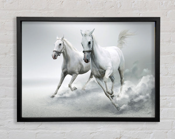 White Duo Horses Framed Print