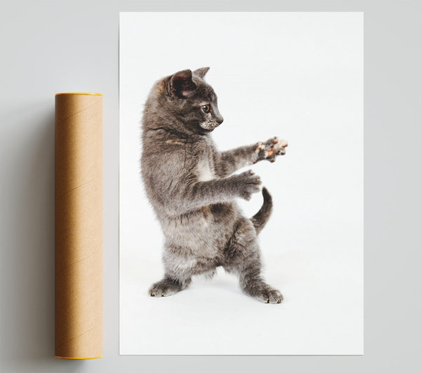 Cat Fight Poster