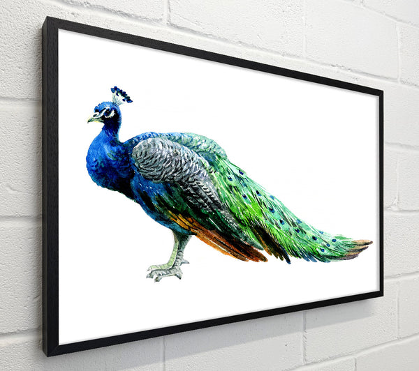 Peacock Stance