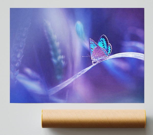 Purple Butterfly Wonder Print