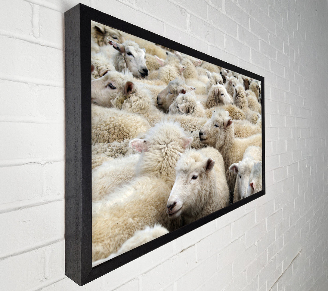  A Canvas Print of Sheep Heard Canvas Wall Art
