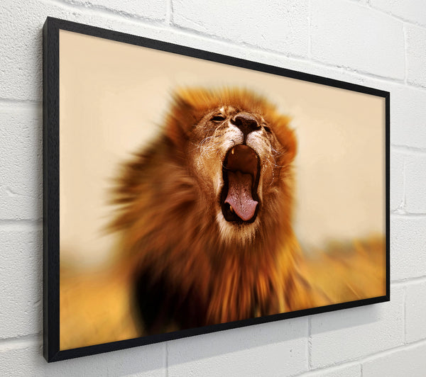 King of The Jungle Lion Roar
