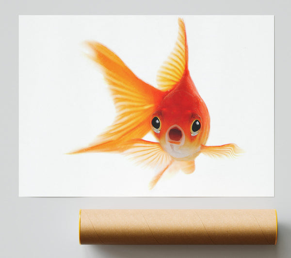 Shocked Goldfish Poster