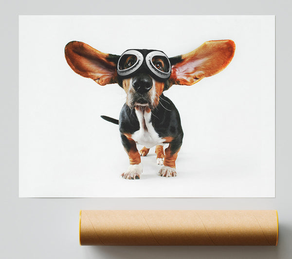 Basset Hound Flight Giclee Print