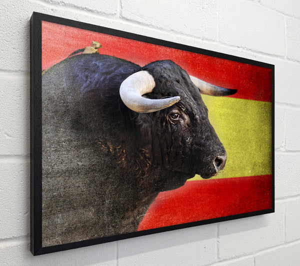 Spanish Bull