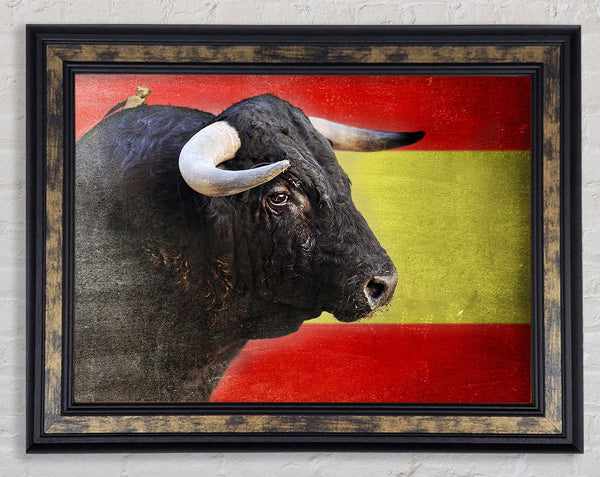 Spanish Bull Framed Print
