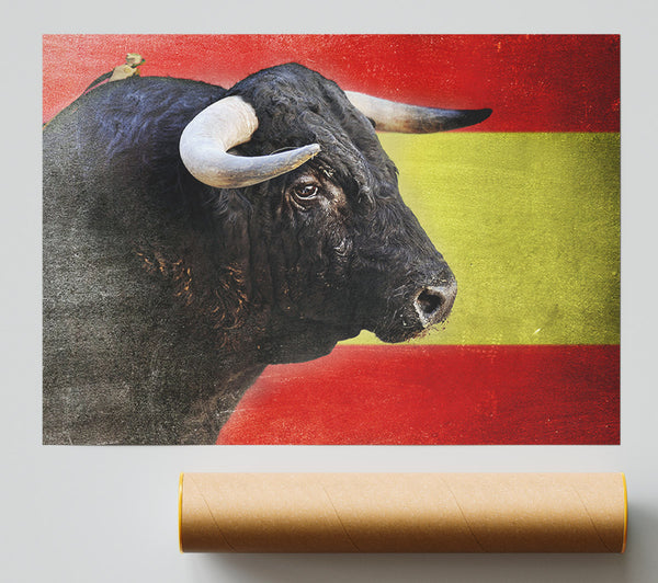 Spanish Bull Print