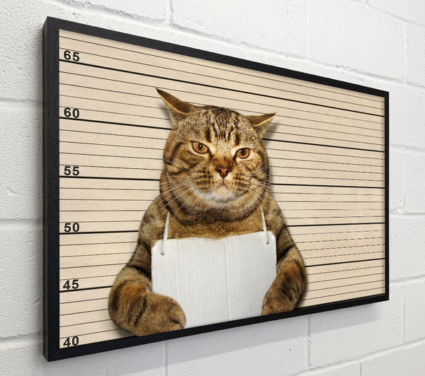 It Wasn't Me Cat