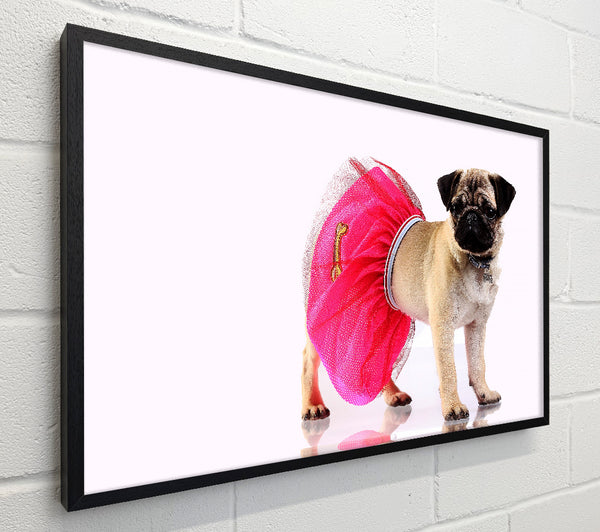 Pug Dog Tutu