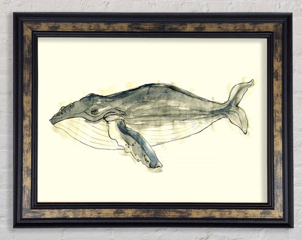 Humpback Whale Framed Print