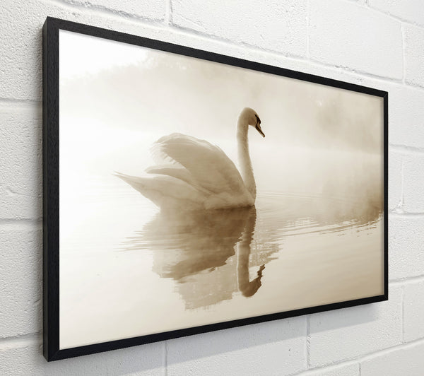 Lonesome Swan