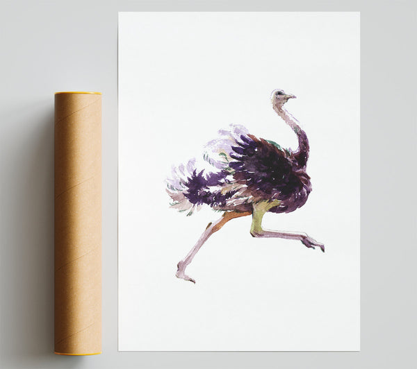Ostrich Run Poster
