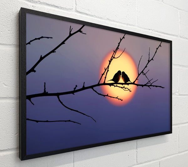 Love Bird Sunset