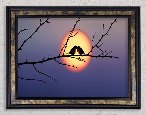 Love Bird Sunset Framed Print