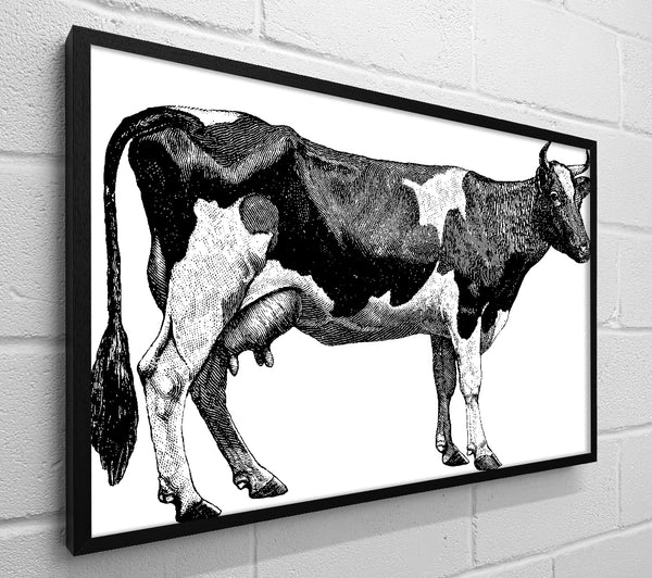 Mother Cow