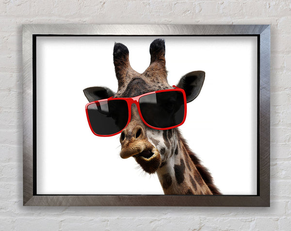 Funky Faced Giraffe Framed Print