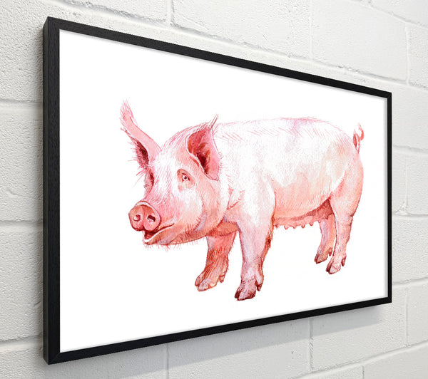 Mother Pig