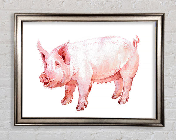 Mutter Schwein