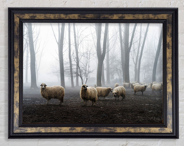 Sheep Forest Framed Print