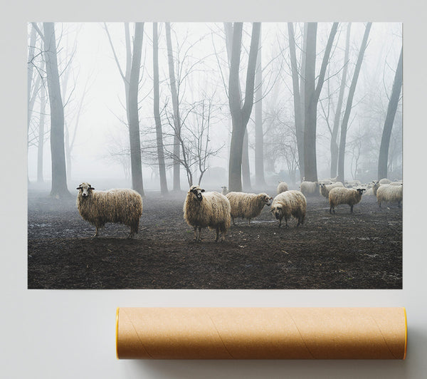 Sheep Forest Poster