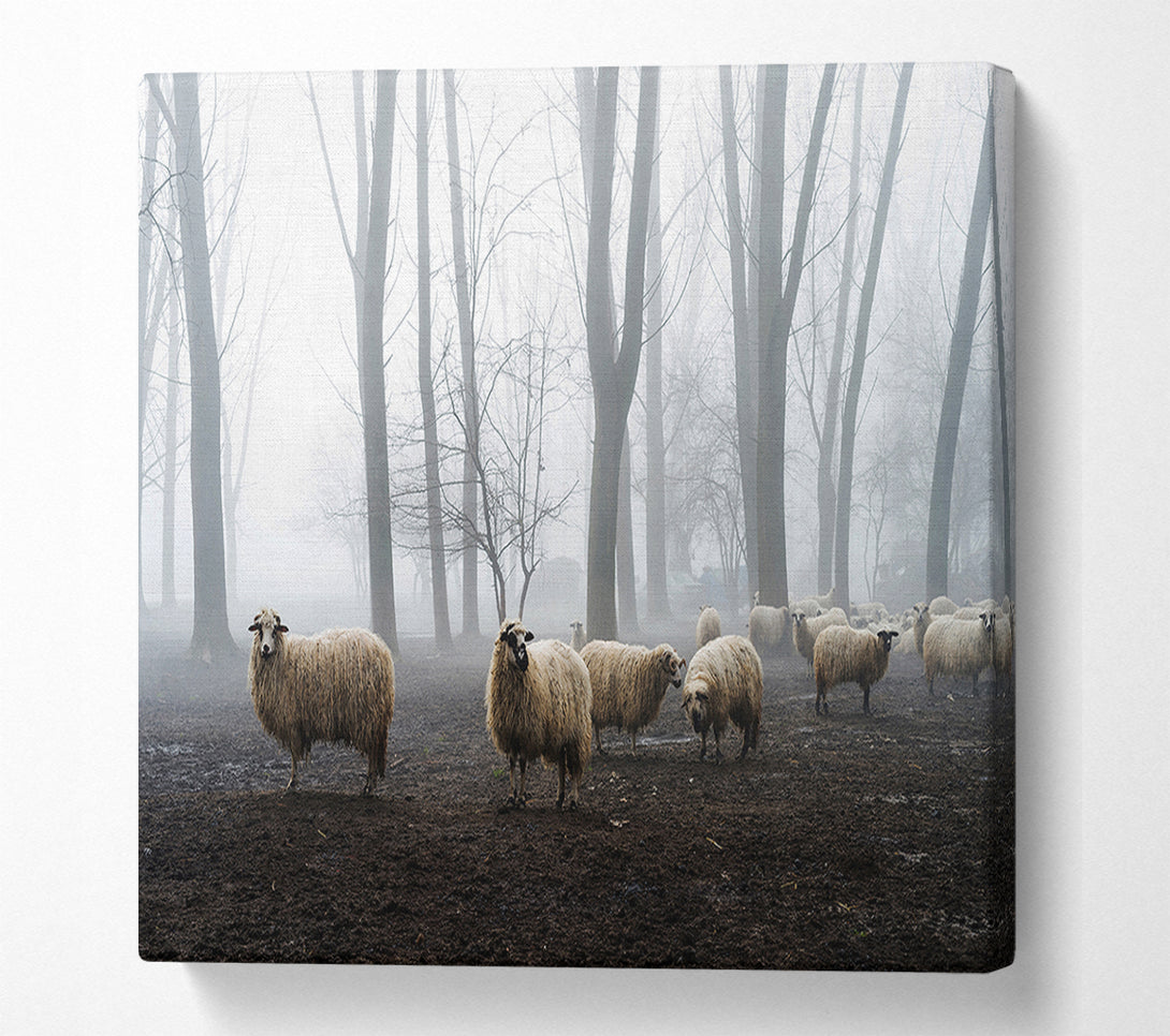  A Canvas Print of Sheep Forest Canvas Art