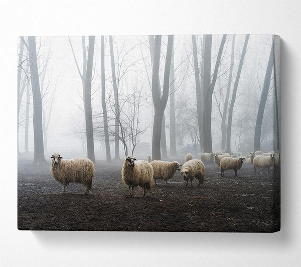  A Canvas Print of Sheep Forest Canvas Art