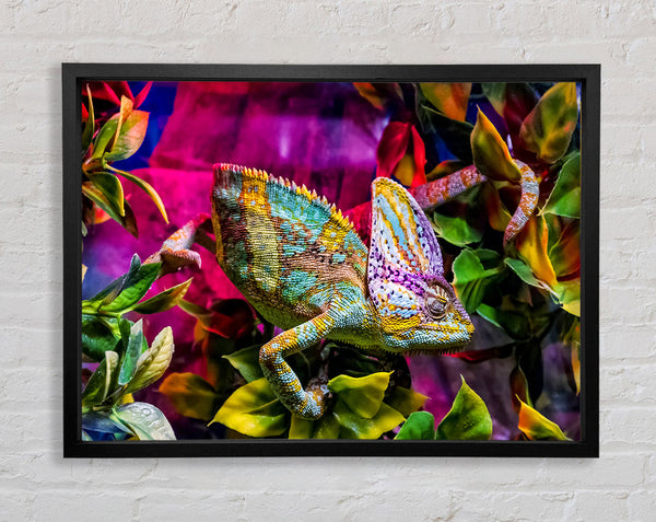 Chameleon In The Pink Framed Print