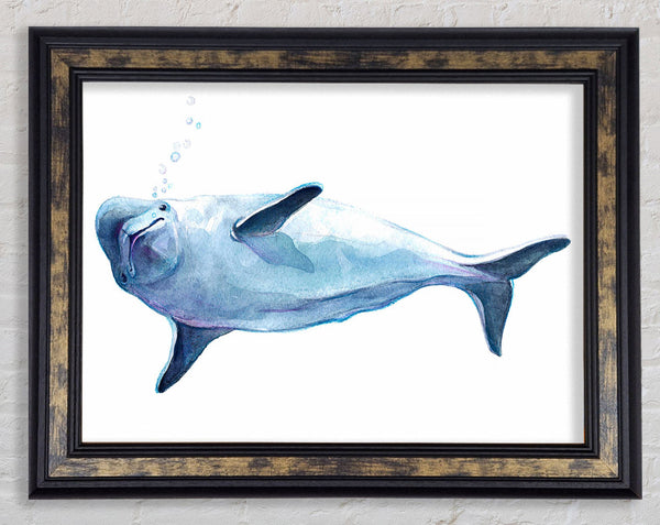 Dolphin Bubbles Framed Print