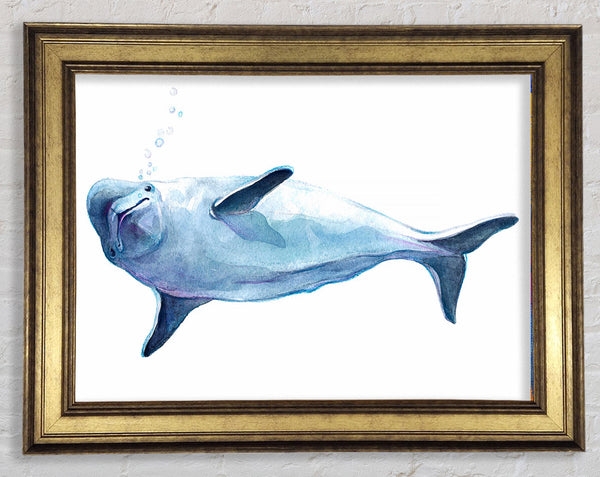 Dolphin Bubbles Framed Print