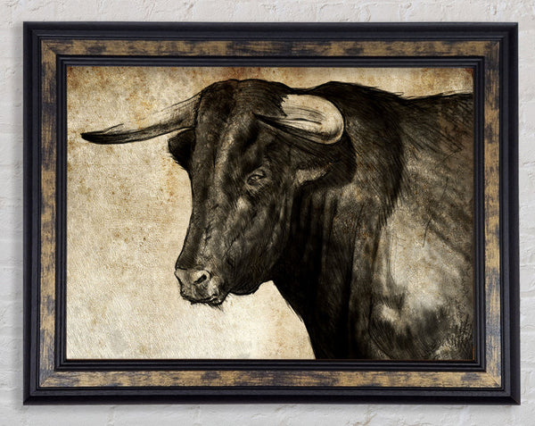 Bull Horns Framed Print