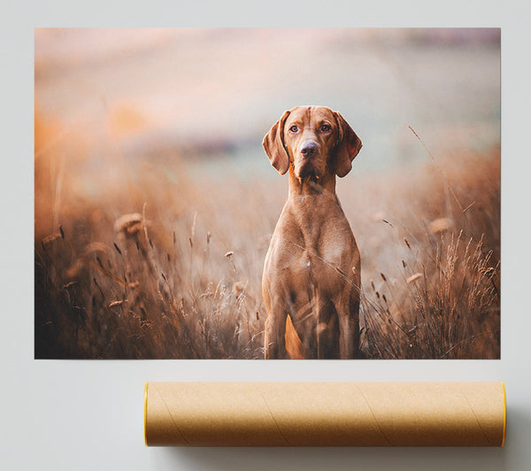 Dog Obedience Poster