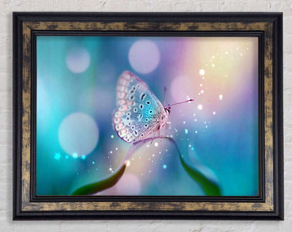 Butterfly Sparkle Framed Print