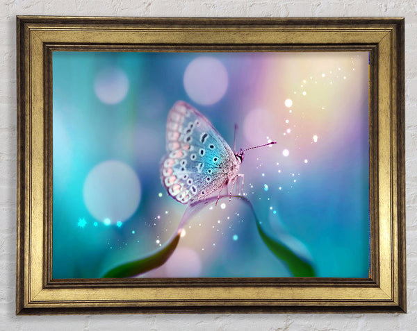 Butterfly Sparkle