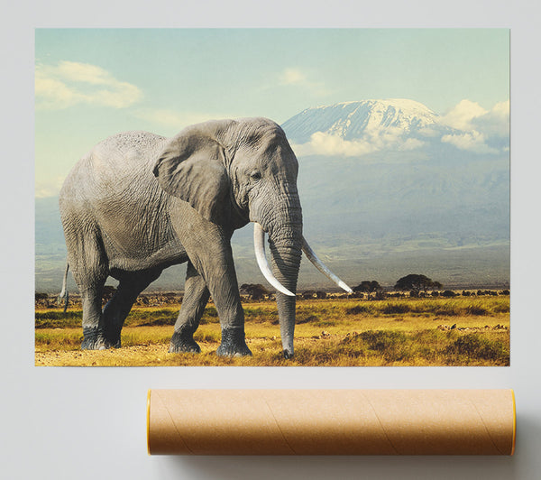 Elephant Roaming Giclee Print