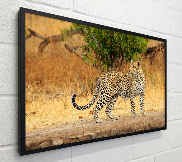 Leopard Watch