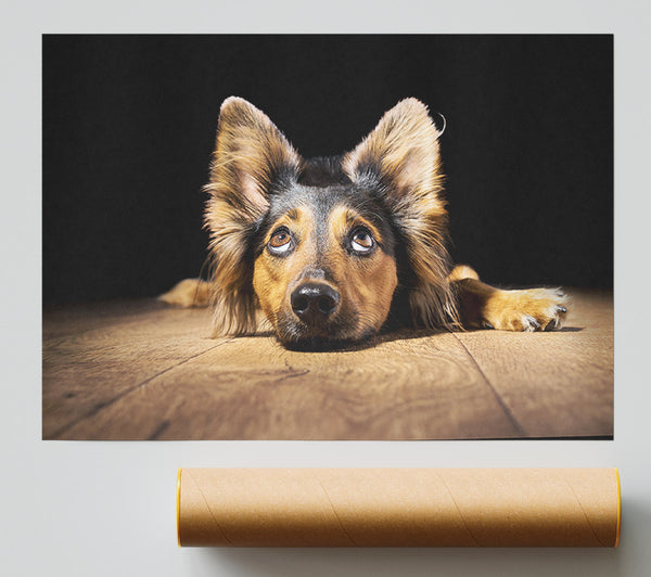 Dog Love Print